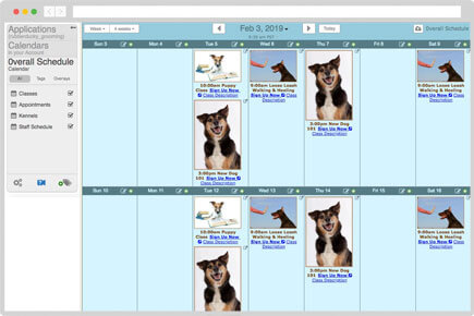 Dog grooming and class calendar